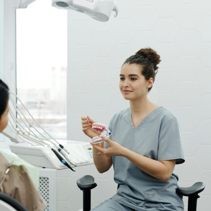 pexels-fr3nks-305564-scaled-1